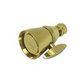 Furnorama 2-.25 in. Diameter Adjustable Brass Shower Head  Polished Brass FU87944